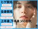 トミー(TOMMY)の写真