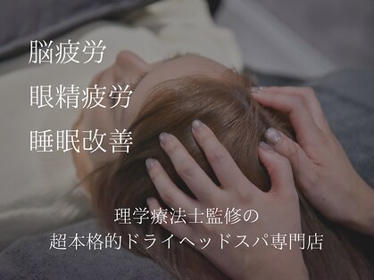 エミュ(Emyu)の写真