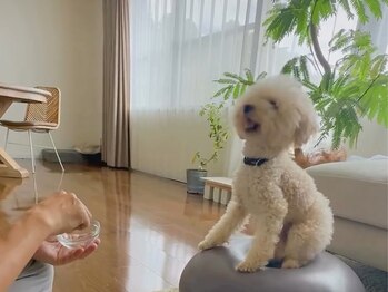 フゥ(Fuu...)/ふれあいの時間