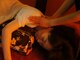 ハンズファンズ 高崎貝沢店(Hands Fan's)の写真/【完全個室】豊富なメニューでリニューアルOPEN♪経験豊富な熟練スタッフによる本格施術でリラックス☆