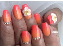 アイビス(ibis)/エアブラシ×ハイビスカス