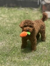 サロン ドゥ ミュゲ(Salon de Muguet) LE O