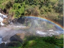 アジアンリラクゼーション ヴィラ 大橋店(asian relaxation villa)/タイ；ワチラタン滝