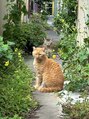 ガーデン(Garden)&nbsp;お店の近所で会える猫ちゃんズ。会えると嬉しい癒しの存在♪