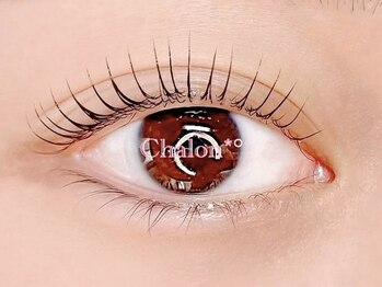 シャロン バイ グラフ 日本橋(Chalon by GRAFF)/*まつげパーマ