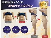 ソフィア わさだ店