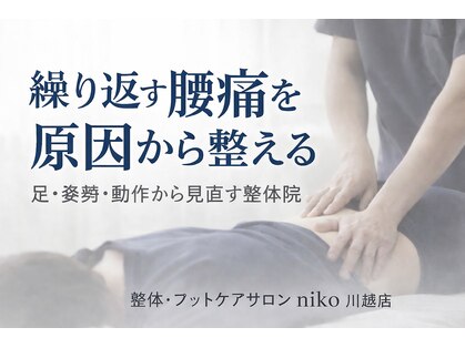 ニコ(niko)の写真