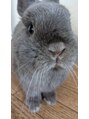 ブルースター 上小田井店(Blue Star)&nbsp;家で飼っている、うさぎのコロン・7歳です☆