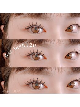 アネラ(ANELA)/LEDエク　１２０本【小山市】