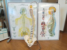 サン(SUN)の雰囲気（カウンセリング時など 模型や パネルを使って説明します。）