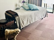 802はちまるにの雰囲気（ペット同伴OK！愛犬や愛猫と寄り添いながら、心休まるケア時間を）