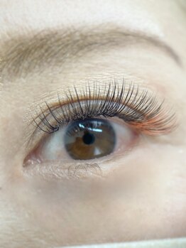 ムニ(muni)/LEDボリューム100束