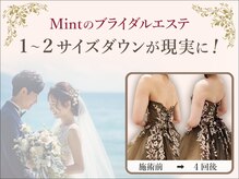 ミント(Mint)の雰囲気(レ花嫁様に選ばれるサロン♪ドレス1~2サイズdownは当たり前!)