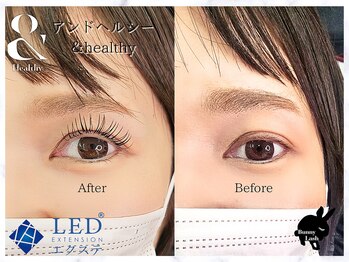 バニーラッシュ(Bunny Lash)/【アンドヘルシー】