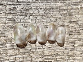 3月定額デザイン　モヤモヤ