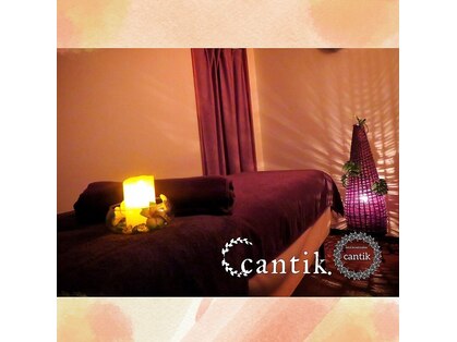 チャンティー(Cantik)の写真