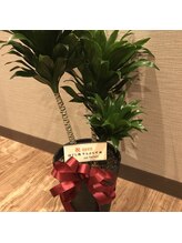 りらぷらす/開店祝い！