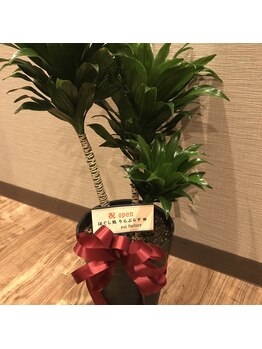 りらぷらす/開店祝い！