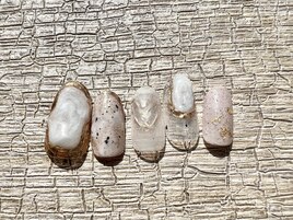 3月定額デザイン　ミラー