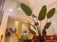 スイートヴィラズ 北堀江店(SWEET VILLAS)の写真/上質な空間で自分の為の癒しの時間♪【全身アロマ90分＋選べるオプション30分¥14000】