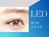 【LEDエクステ・80本まで】圧倒的な持続力！選べるセーブル/フラット◎9500→