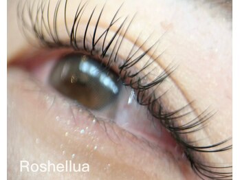 ロシェルア(Roshellua)/ダブルフラットラッシュ