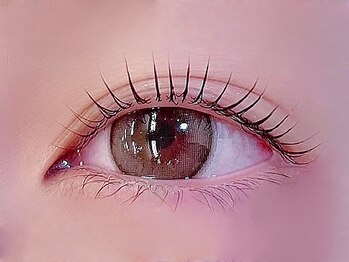 シャッセ(SASE)の写真/《ナチュラル派に人気♪まつげパーマで自然に目力UP&垢抜け目元へ》