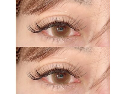 アイラッシュT2の写真