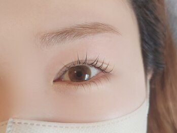 アヴィ CoCoLo新潟店(A'VI)/上下まつ毛パーマセット