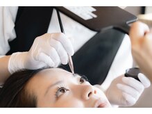 エバーグリーン(evergreen)/