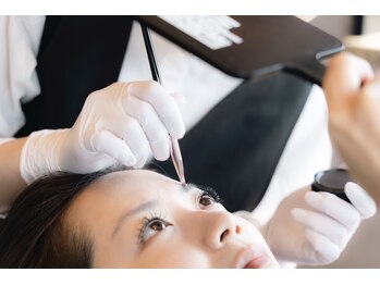 エバーグリーン(evergreen)/