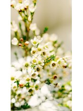エリクサーネイル 新宿3丁目(Elixir Nail) 石川指名 500円