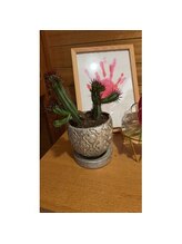 ポノサロン(pono salon)/サボサボくん