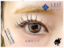 バニーラッシュ(Bunny Lash)/【LEDフラットラッシュ】