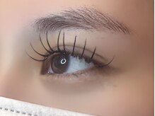 フリー#240(Free#240)/バインドロック300本