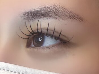 フリー#240(Free#240)/バインドロック300本