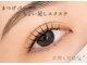 ミーサ(Mysarest)の写真