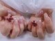 フワフワ(fuwa-fuwa)の写真