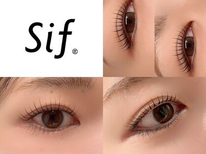 シフ(sif.)の写真