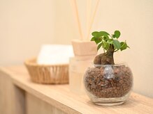 ジプソフィリア(gypsophila)の雰囲気(お手洗いにはアメニティもご用意しております)