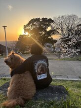 クイーン(Queen)&nbsp;AYUMI 