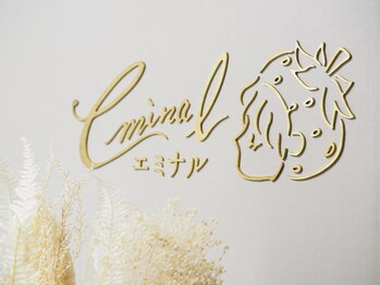 エミナル(eminal)/eminalロゴ/毛穴/梅田