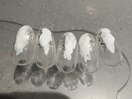定額シンプルデザインネイル