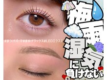 楚々