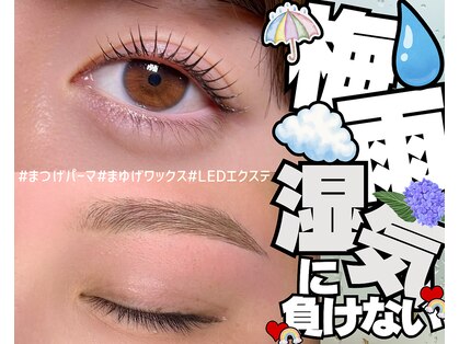 楚々の写真