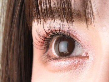 マドンナリリー(Madonna Lily)/パリエク☆