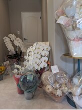 シエル(Ciel)/NEWOPEN 