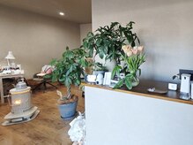 ミント(Mint)の雰囲気（広々とした空間でリラックスできます）