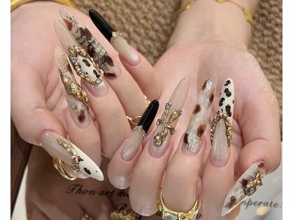 キララ(Kirara)の写真
