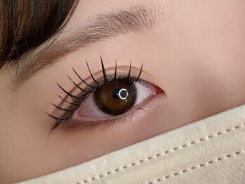 ルース 白河店(LUZ)/フラット120本